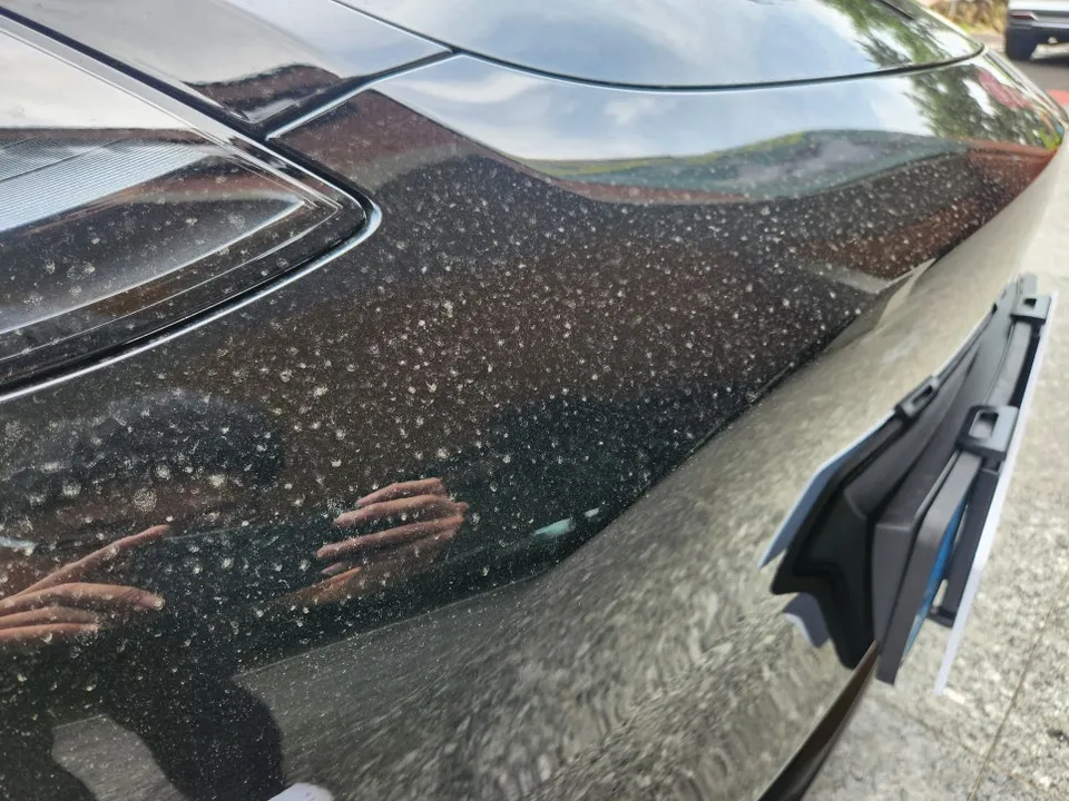 Tesla Model Y PPF施工事例|費用目安と仕上がり 施工写真 2-1