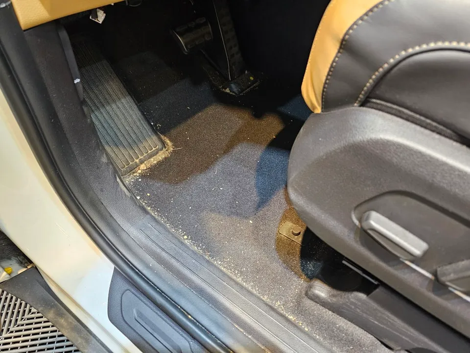 Kia Carnival Interior Customization Review — Cost & Results photo 4