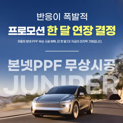 Tesla Juniper PPF Review: Rock Chip Protection & Cost