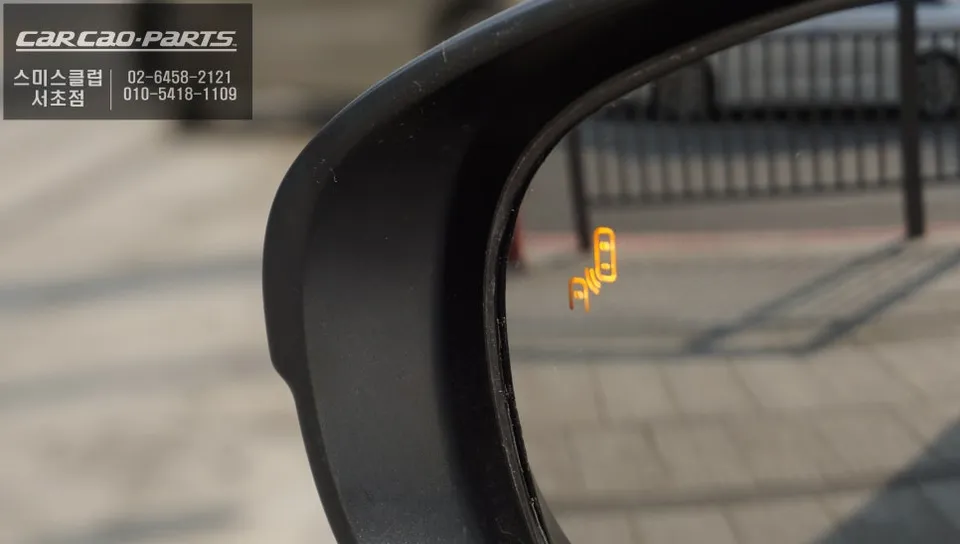 Lexus ES 300h oem options - Lexus ES 300h Blind Spot Monitor Upgrade Review — Enhanced Safety photo 3