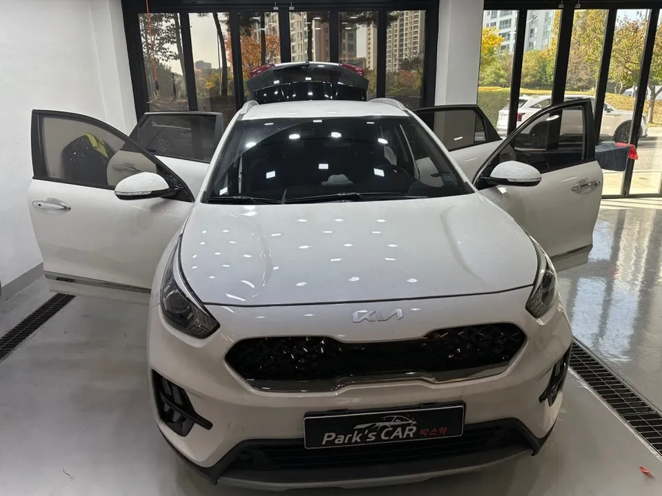 Kia Carnival ppf - Kia Carnival PPF Review — Rock Chip Protection photo 4