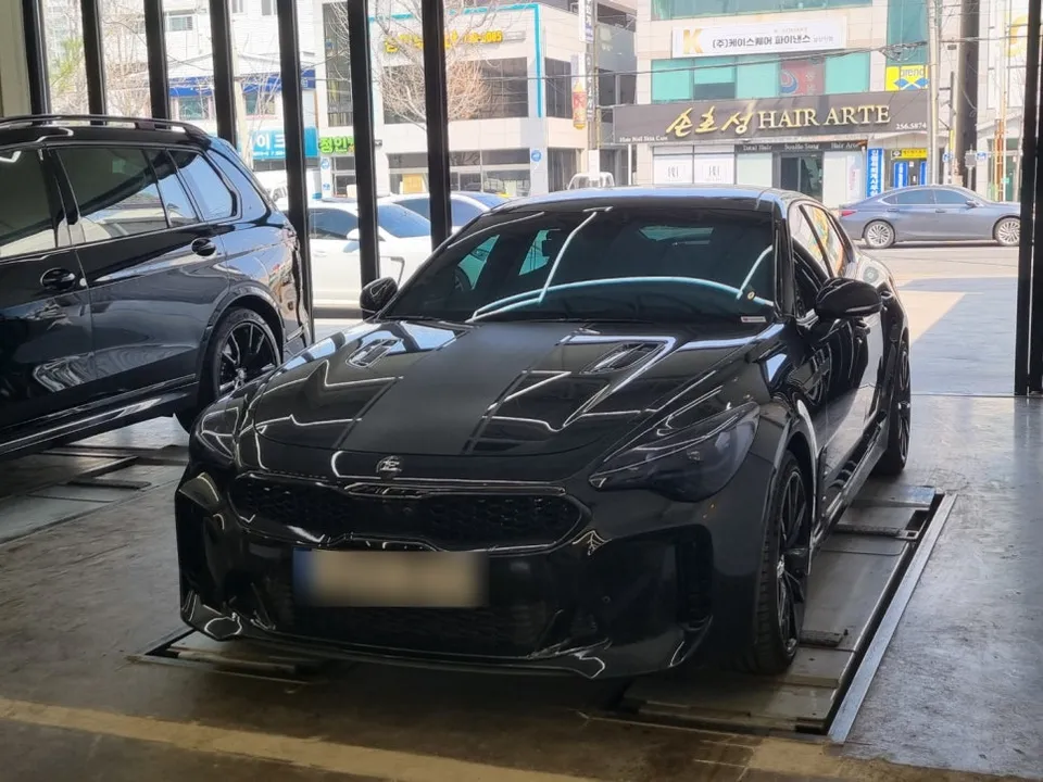 Kia Stinger Performance Upgrade Review: Cost & Results photo 2