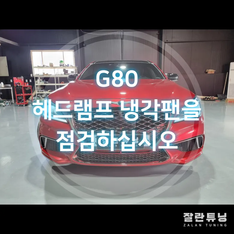 Genesis G80 Lighting Upgrade Review — Enhanced Visibility photo 2