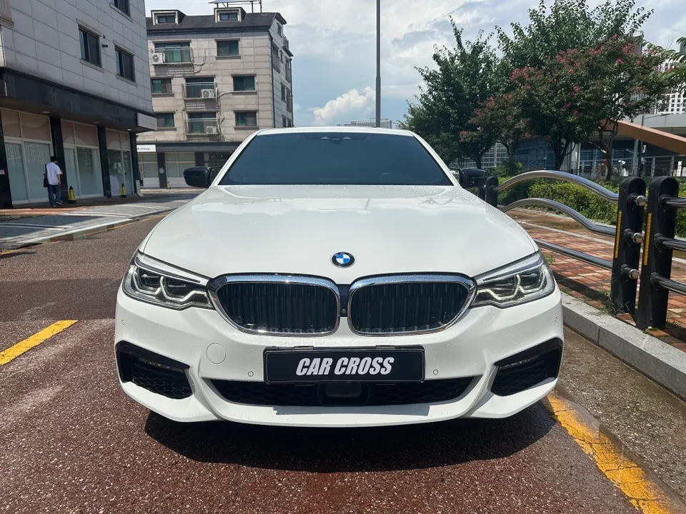 BMW 5 Series G30のカーラッピング事例：クローム除去と室内カスタム 施工写真 1-1