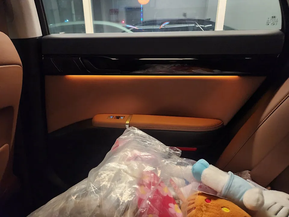 Hyundai Grandeur GN7 Ambient Lighting Review — Cost & Results photo 2