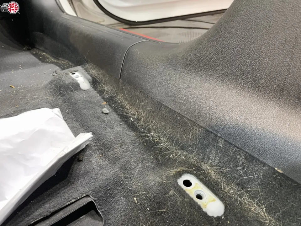 Audi A4 paint correction - Audi A4 Paint Correction Review: Under $400 photo 5