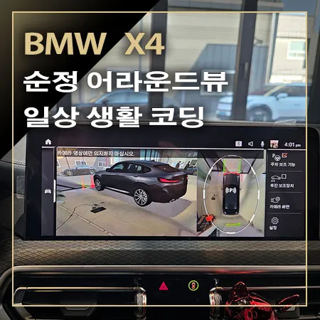 BMW X4 surround view camera installation result