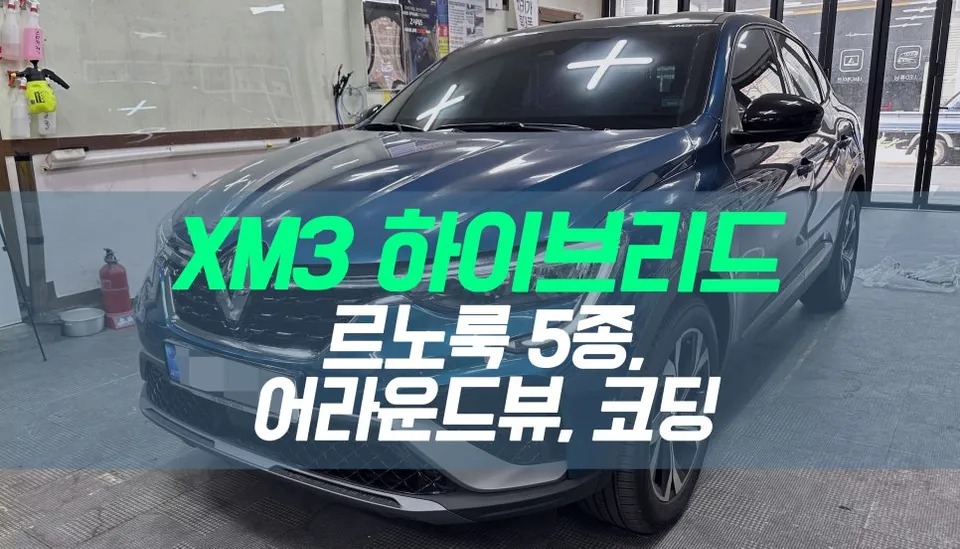 Renault XM3 Surround View Camera Installation Review