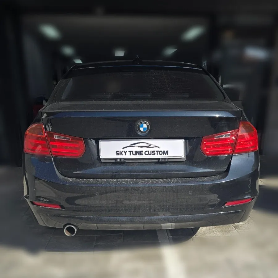 BMW 3 Series F30 steering wheel - BMW 3 Series F30 Steering Wheel Customization Review photo 2