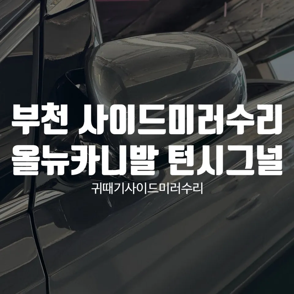 Kia Carnival body repair review