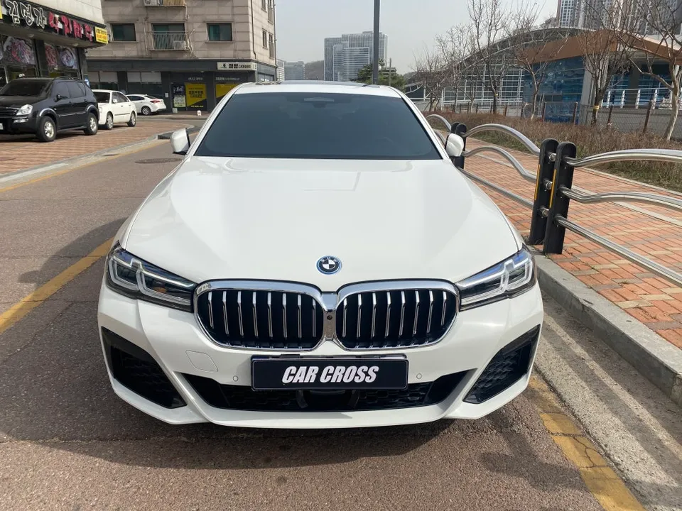 BMW 5 Series G30 カーラッピング事例：クロームモールをブラック化 写真