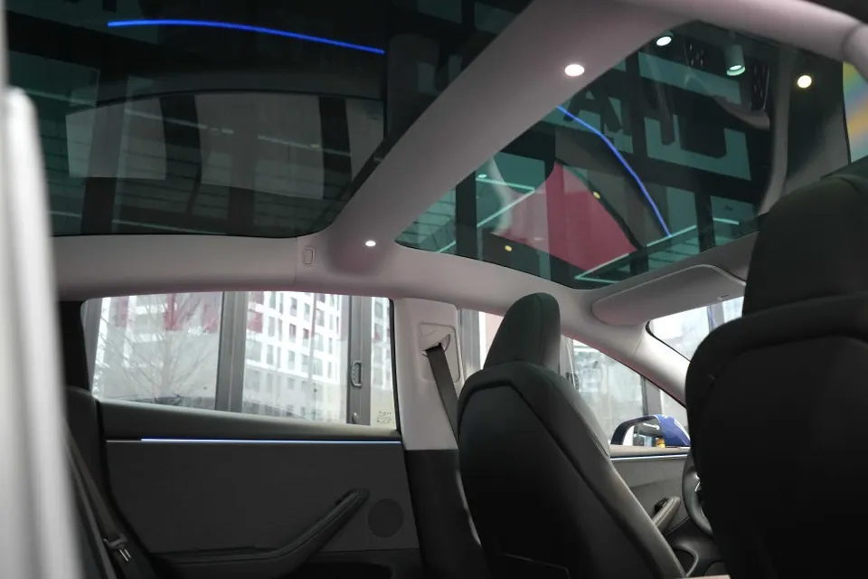 Tesla window tinting - Tesla Model 3 Highland Window Tinting Review: SolarGarde 45% photo 4