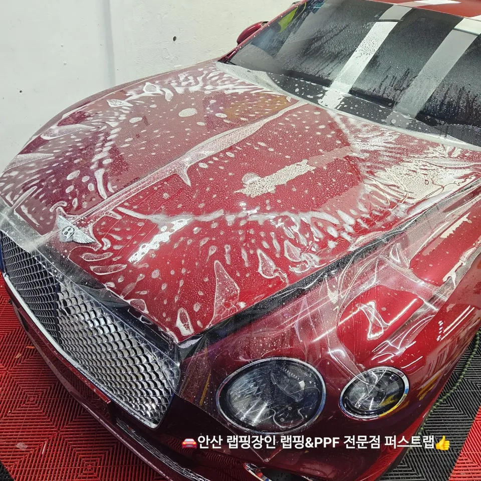Bentley Continental GTのPPF施工事例|費用目安と仕上がり 施工写真 2-2