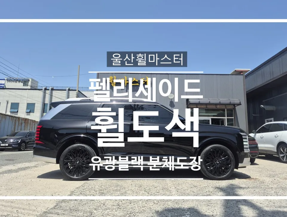 Hyundai Palisade wheel repair review