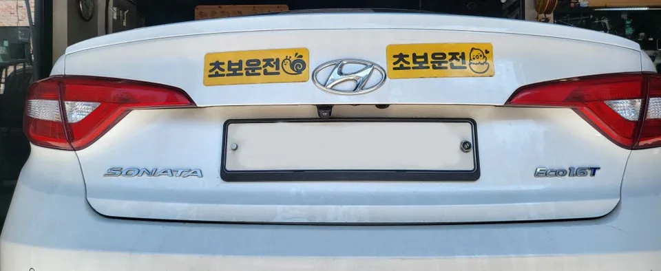 Hyundai Sonata LF surround view camera - Hyundai Sonata LF Surround View Camera Review: Enhanced Parking photo 5