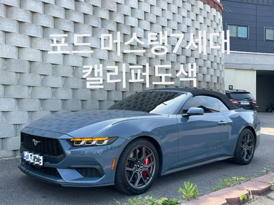 Ford Mustang 7th Gen Wheel Repair & Painting Review