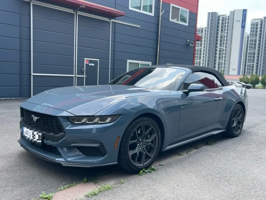 Ford Mustang 7th Genのホイールリペア・塗装事例 施工写真 2