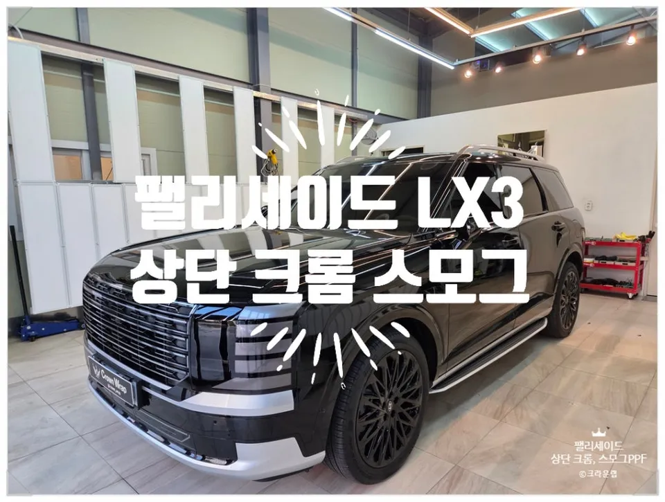 Hyundai Palisade PPF Review: Chrome Delete & Headlight Smog PPF