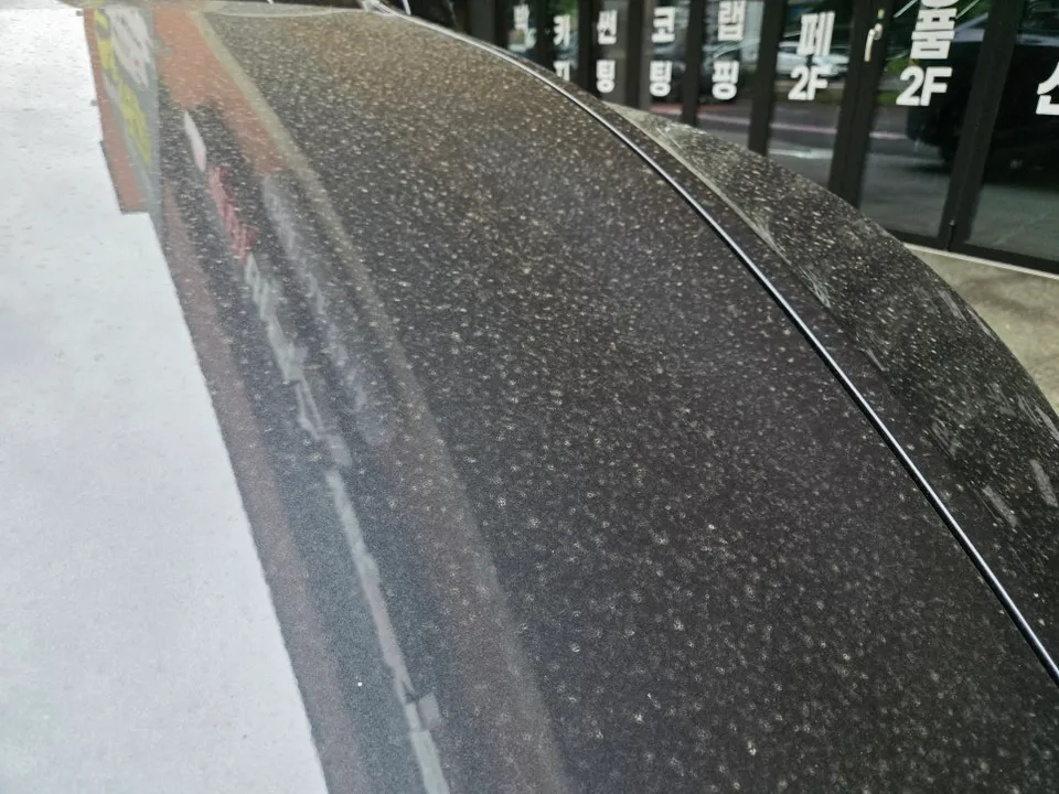 Tesla Model Y PPF施工事例｜費用目安と仕上がり 施工写真 1-2