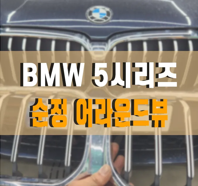 BMW 5 Series surround view camera installation result