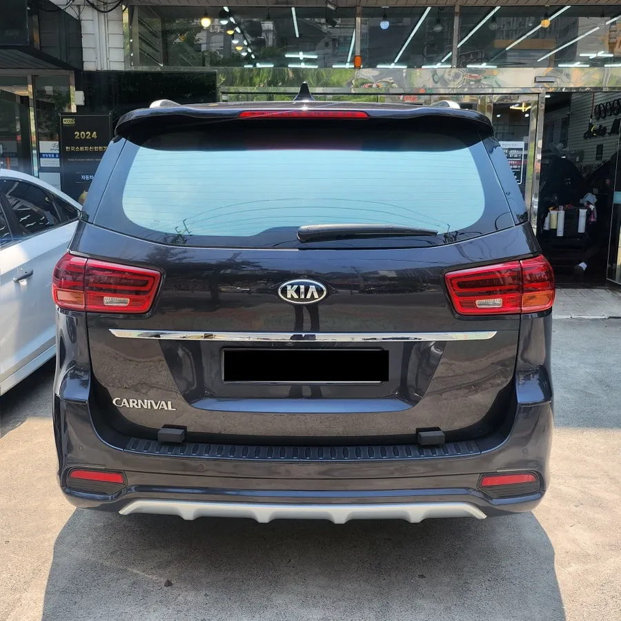 Kia Carnival YP ambient lighting - Kia Carnival Ambient Lighting Review — Enhanced Interior Mood photo 3