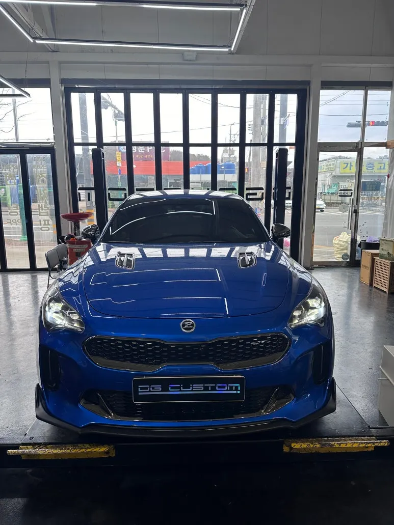 Kia Stinger Ambient Lighting Upgrade: Enhanced Interior LED Mood photo 2