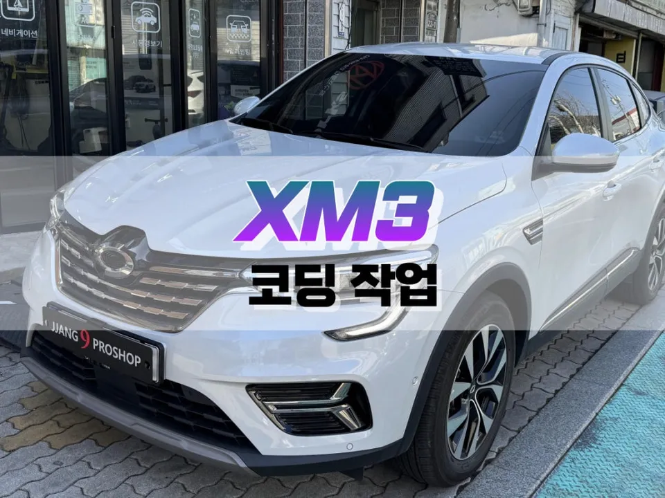 Renault Korea XM3 Coding Review: Remote Window & Convenience Mode
