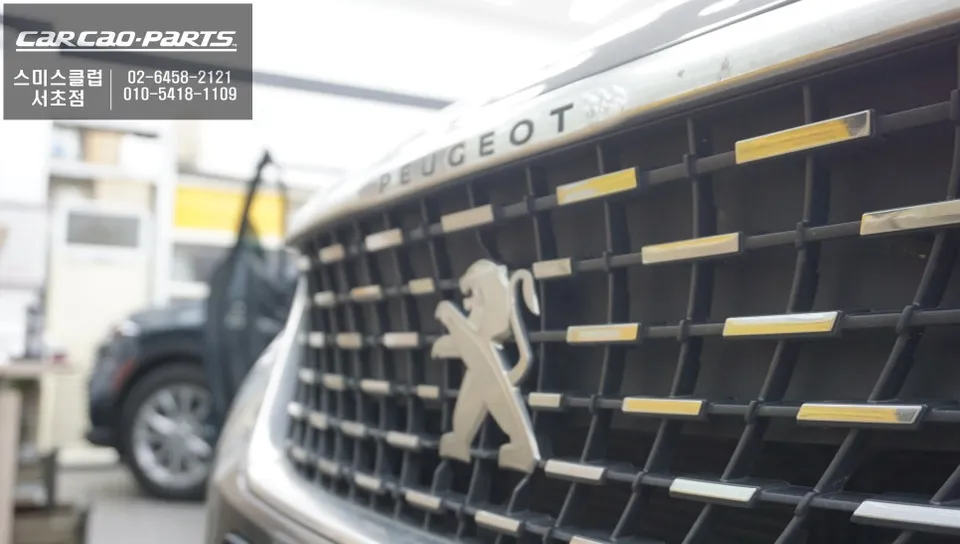 Peugeot 3008  - Peugeot 3008 Detailing & Paint Correction Review photo 5