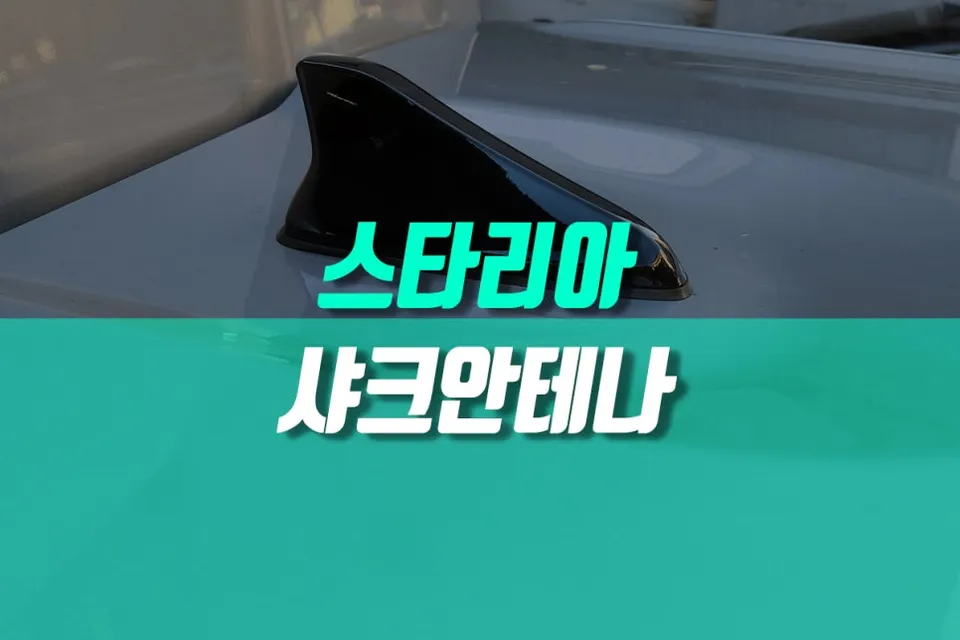 Hyundai Staria ppf installation result