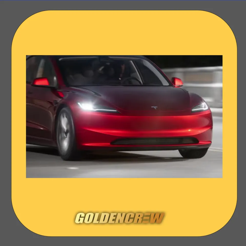 Tesla Model 3 PPF施工事例|費用目安と仕上がり 施工写真 2-2