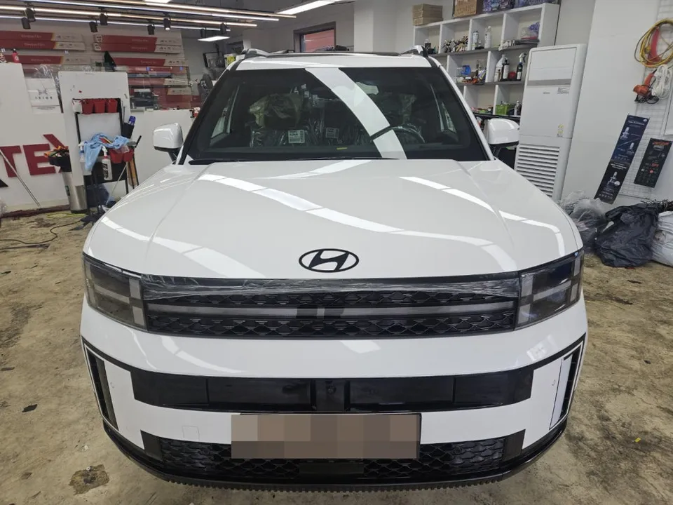 Hyundai Santa Fe PPF Review — Enhanced Paint Protection & Gloss photo 2
