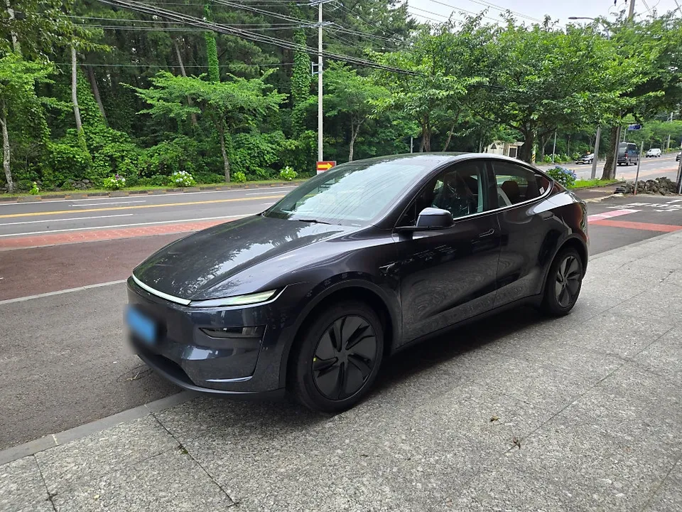 Tesla Model Y PPF Review — Ultimate Paint Protection & Shine photo 2