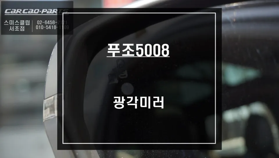 Peugeot 5008 oem options review