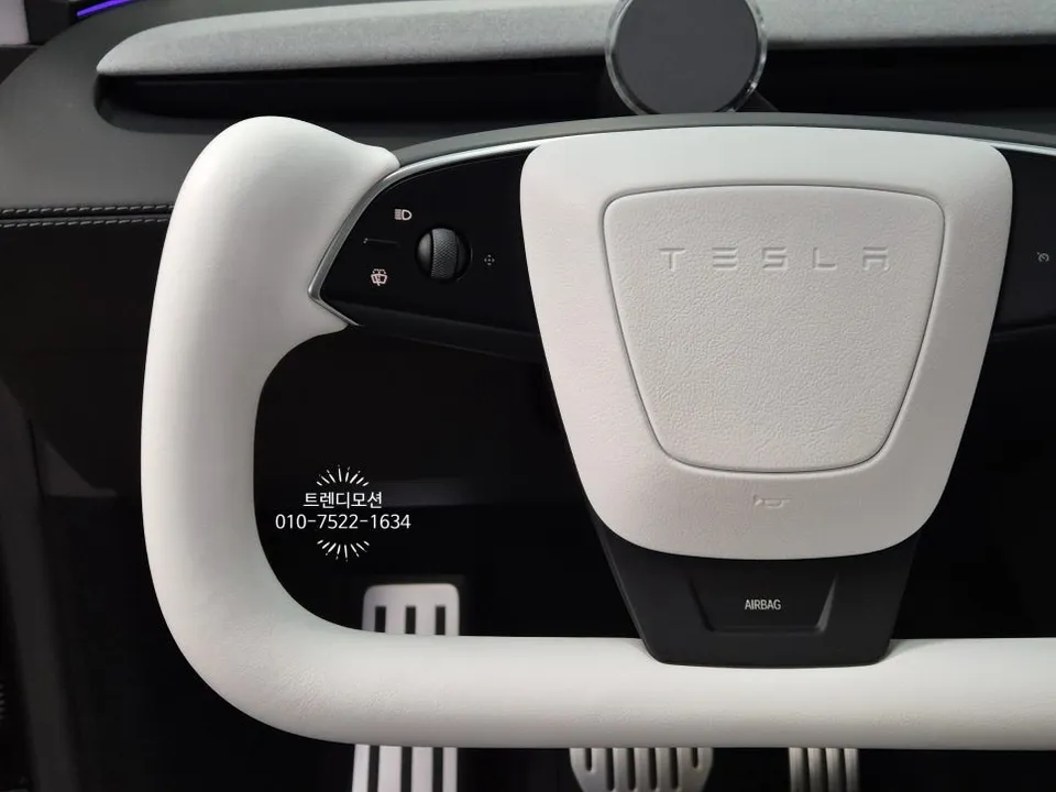 Tesla Model Y Steering Wheel Customization Review After