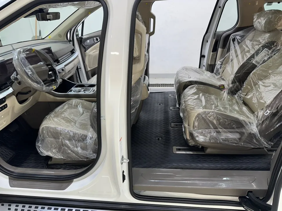 Kia Carnival ppf review