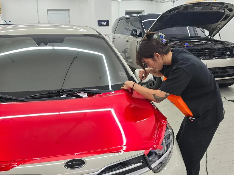 Lexus ESのPPF施工事例|費用目安と仕上がり 施工写真 3-3