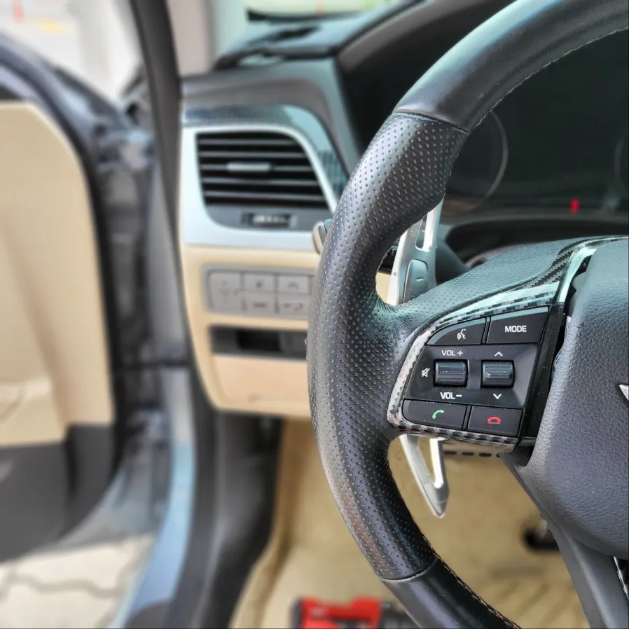 Genesis G80 steering wheel - Genesis G80 Steering Wheel Customization Review photo 4