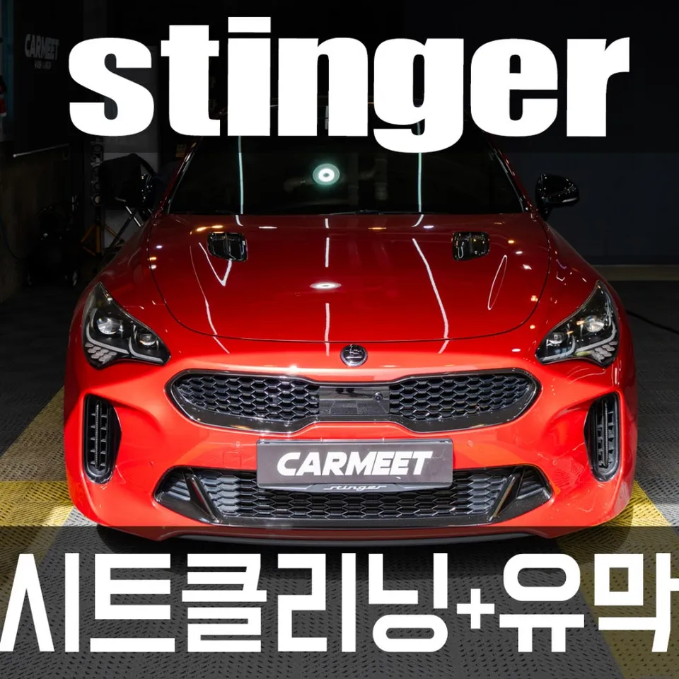Kia Stinger Paint Correction Review: Swirl Removal Cost photo 1