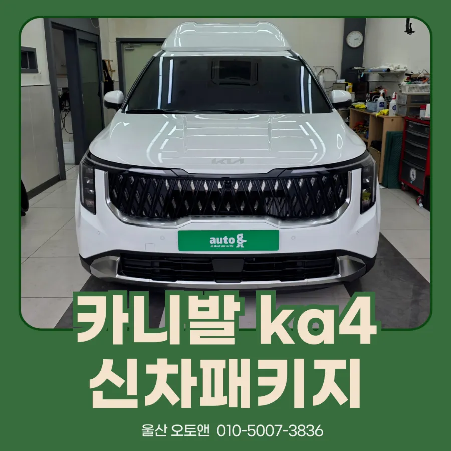 Kia Carnival KA4 new car package installation result