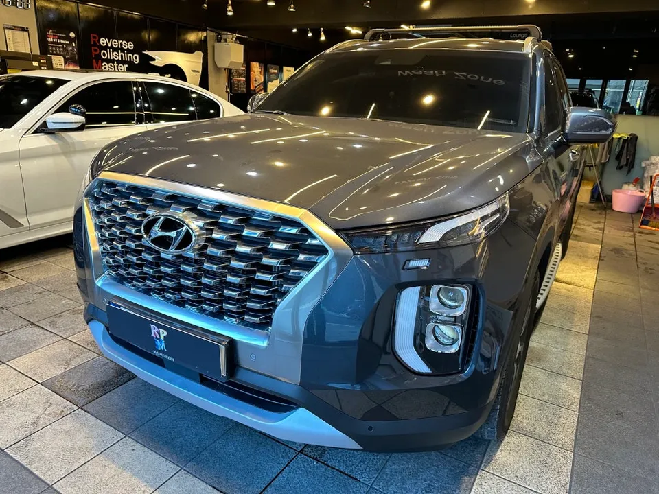 Hyundai Palisade oem options review