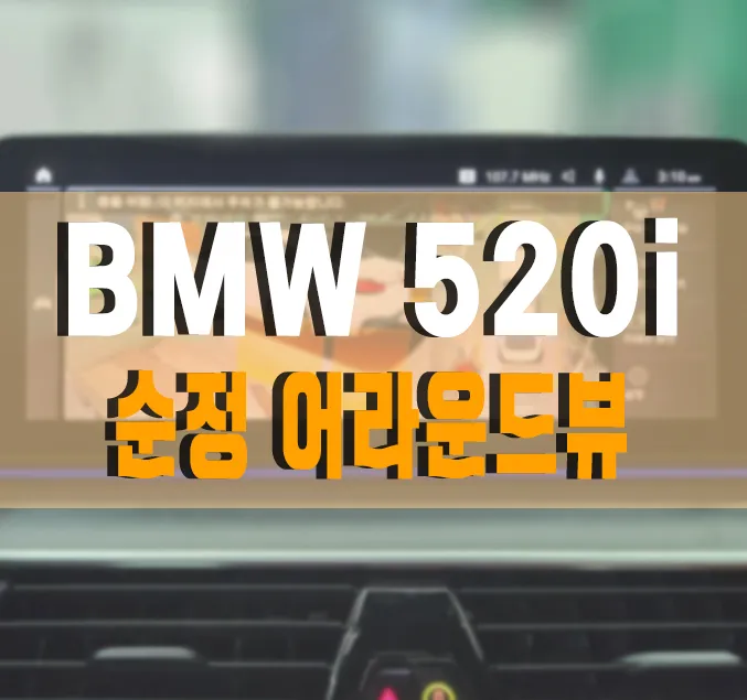 BMW 5 Series surround view camera installation result