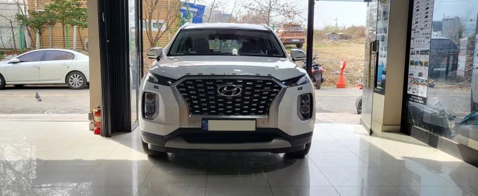 Hyundai Palisade Ambient Lighting Review: Cost & Results photo 1