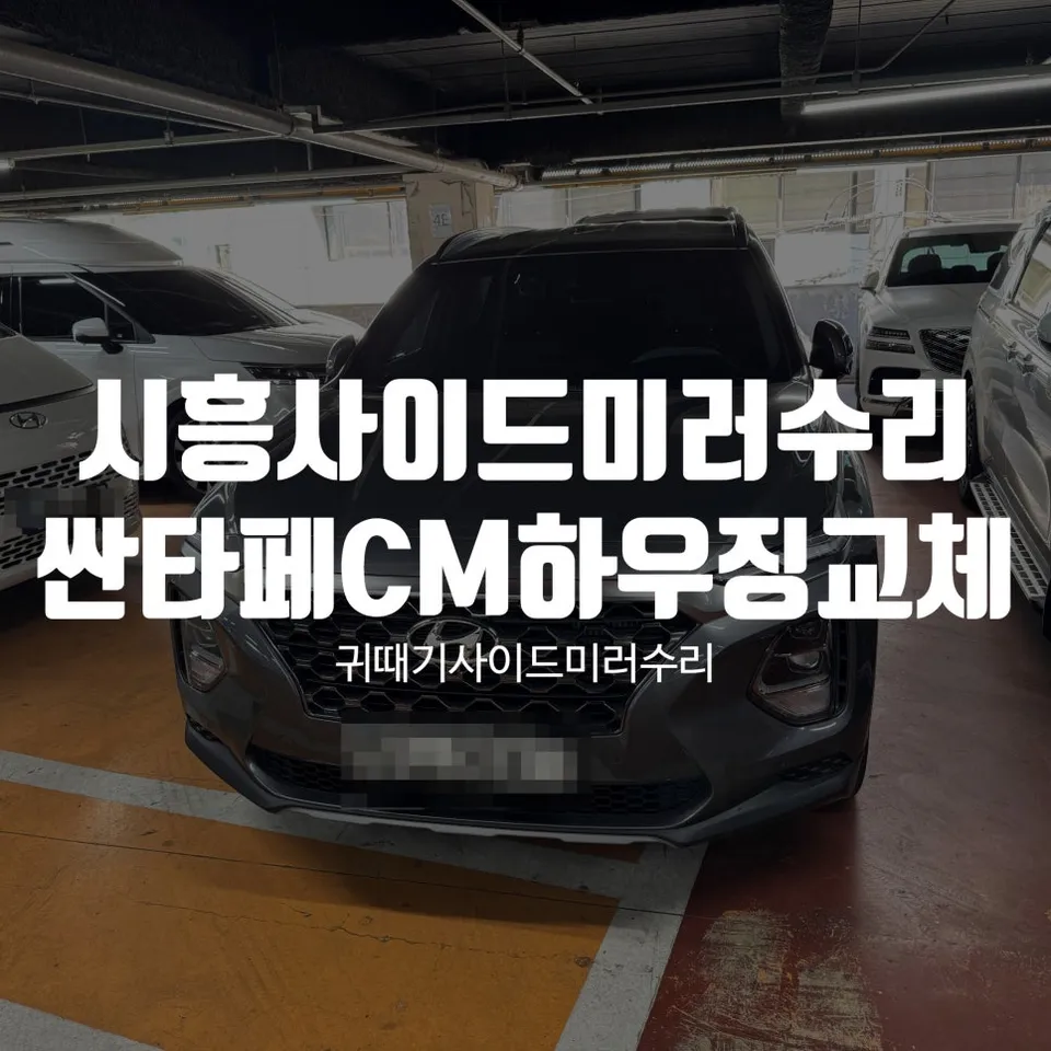 Hyundai Santa Fe Car Service Review — Housing Replacement