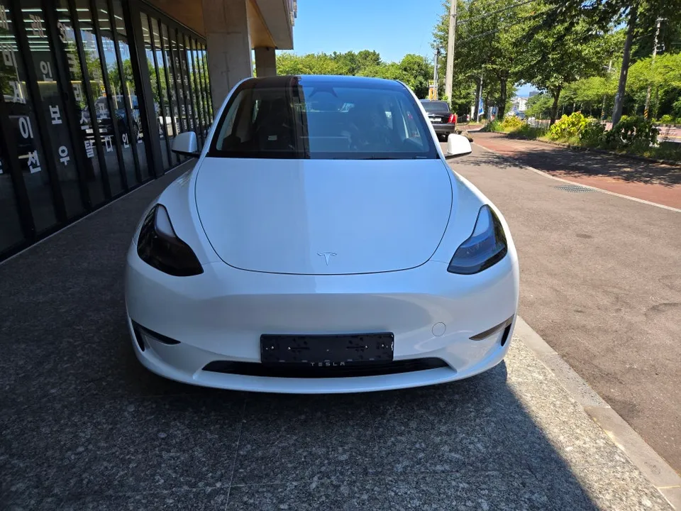 Tesla Model Y PPF施工事例|費用目安と仕上がり 施工写真 3-1