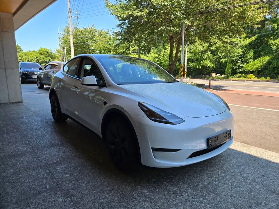 Tesla Model Y PPF施工事例|費用目安と仕上がり 施工写真 1-2