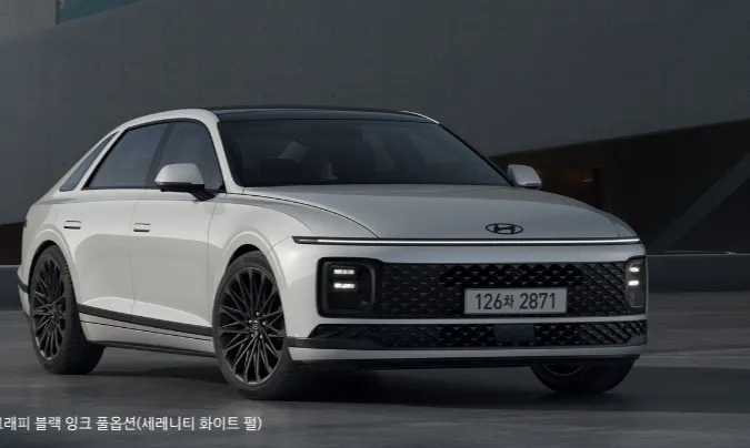 Hyundai Azeraのカーラッピング事例:クローム除去とPPF施工 施工写真 2-1