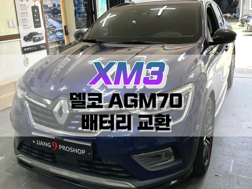 Renault Korea XM3 ppf installation result