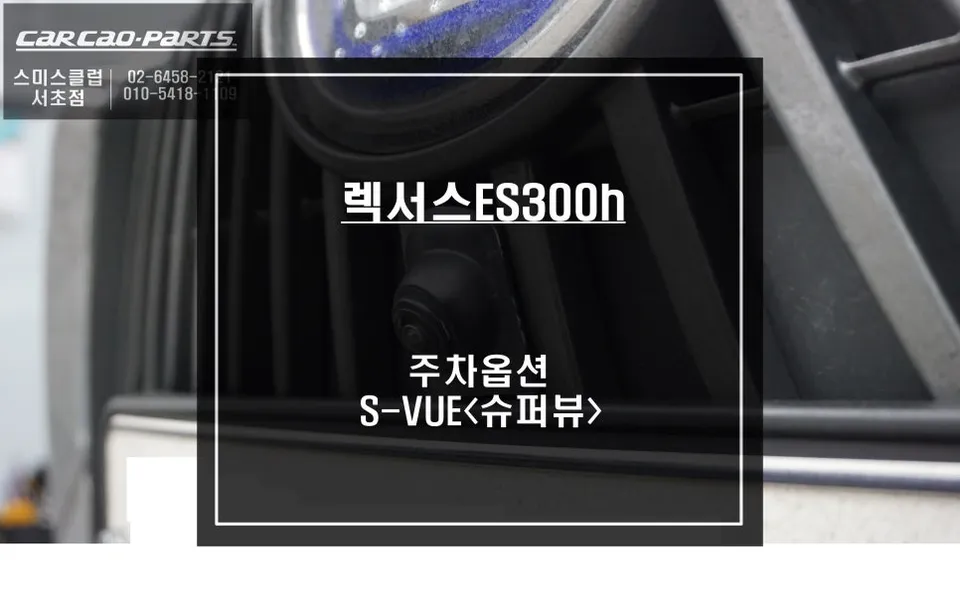 Lexus ES 300h Surround View Camera Installation Review