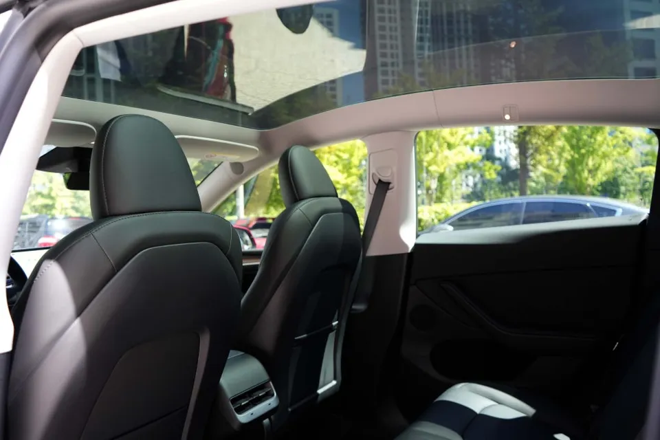 Tesla Model Y ppf - Tesla Model Y PPF Review: Cost & Rock Chip Protection photo 3