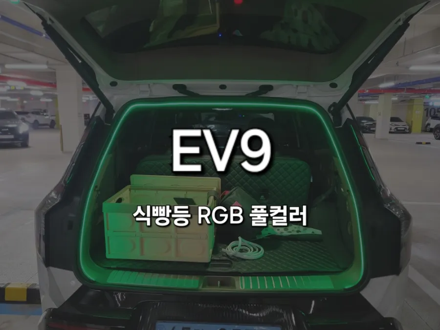 Kia EV9 ambient lighting installation result